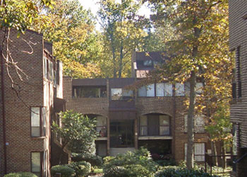 Community Photo
